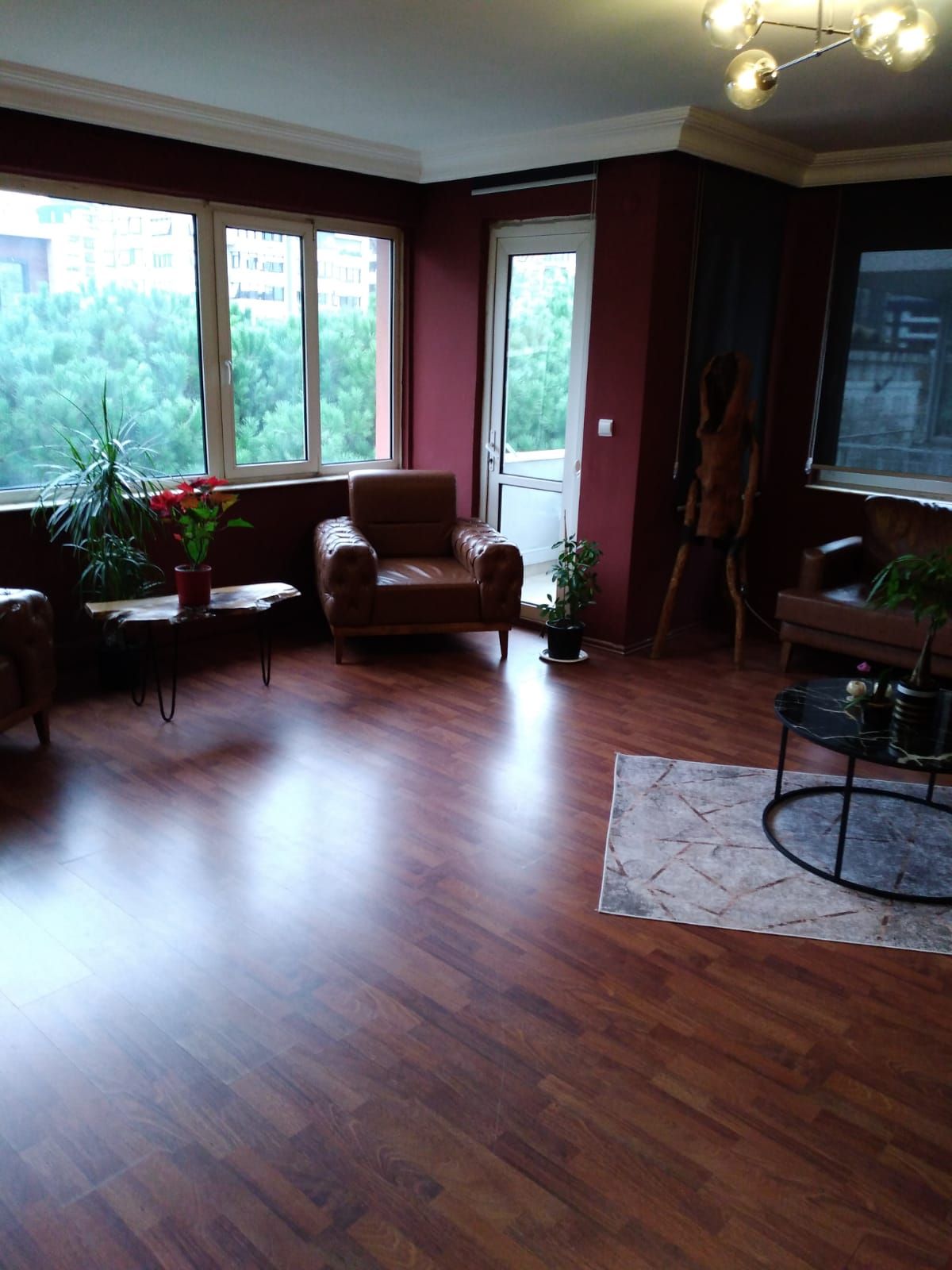 Melek Sarıçiçek-36