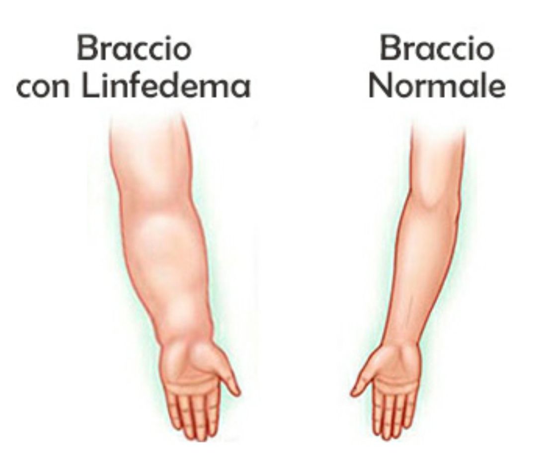 Stefania Lanfranco-5