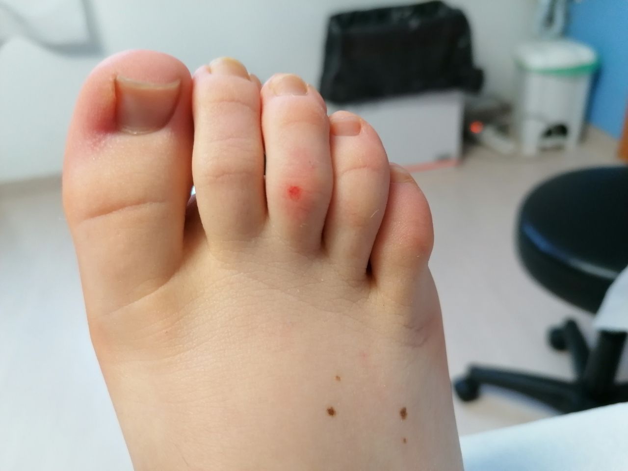 Kassandra Nicolosi-348