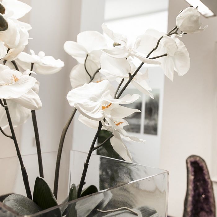 Marianne Rauschenberger-2