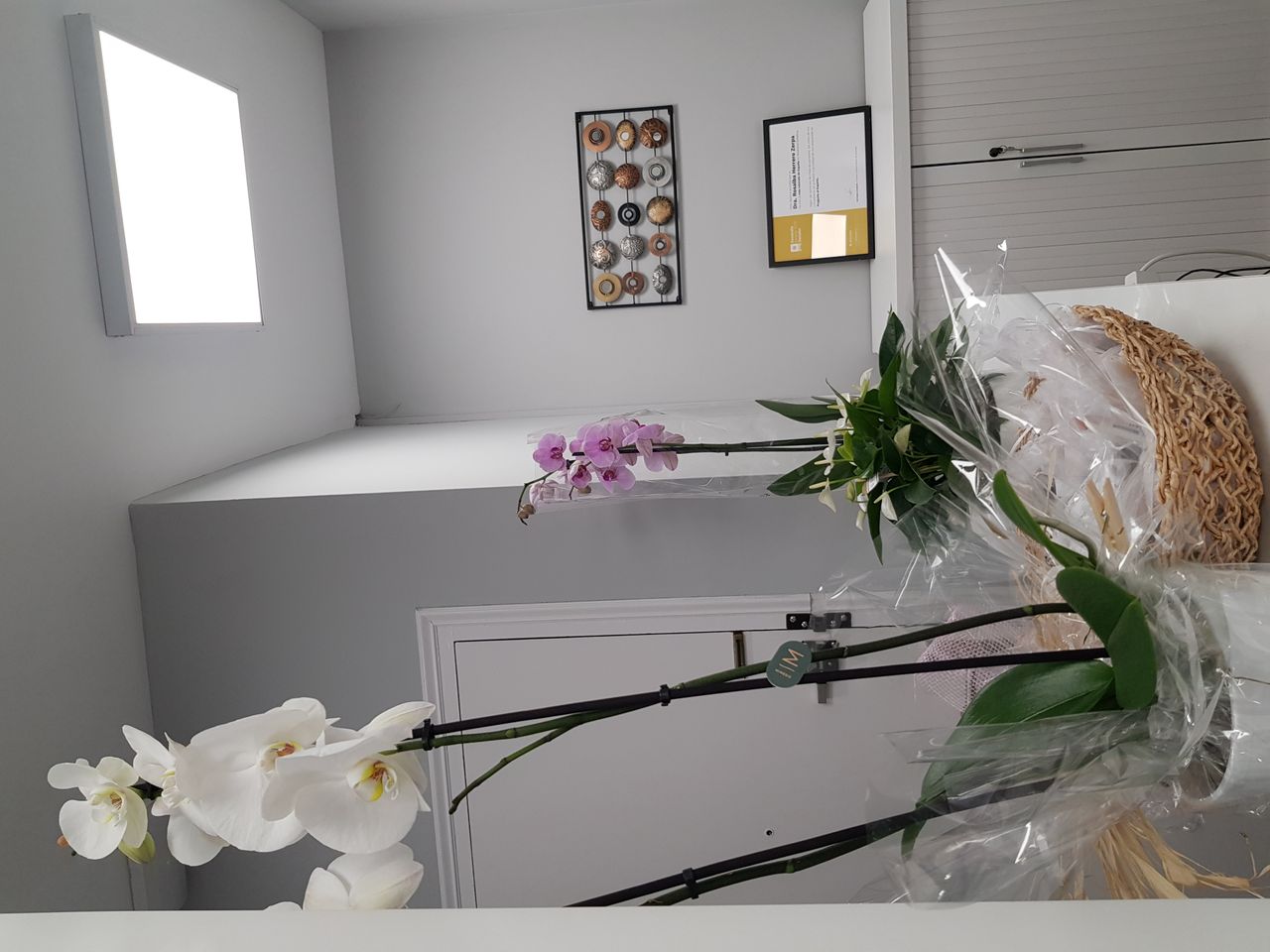 Rosalba Herrero Zerpa-251