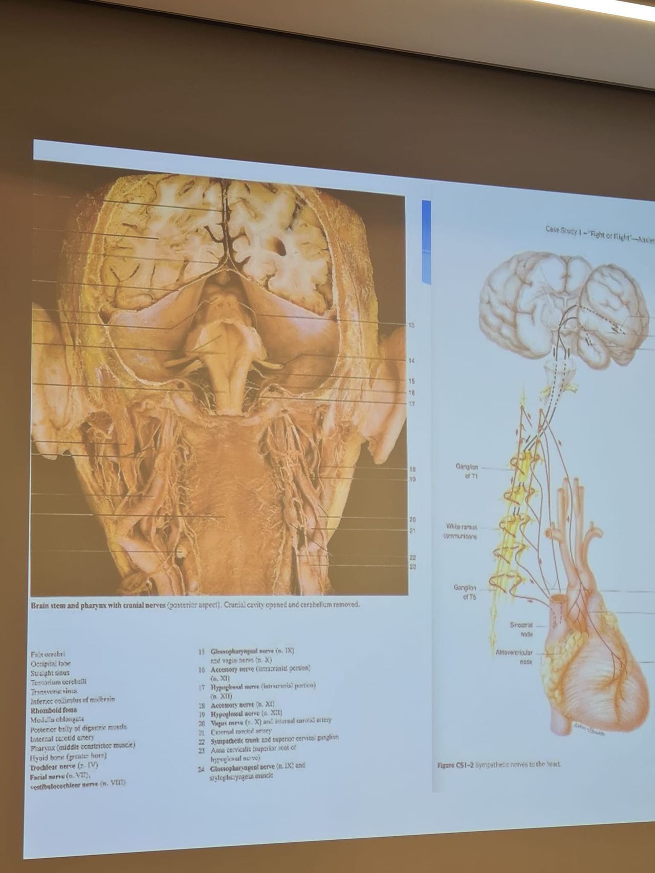 Wojciech Czarnecki-11