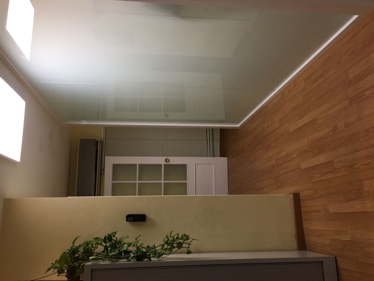 Mª Dolors Mas Delblanch-3