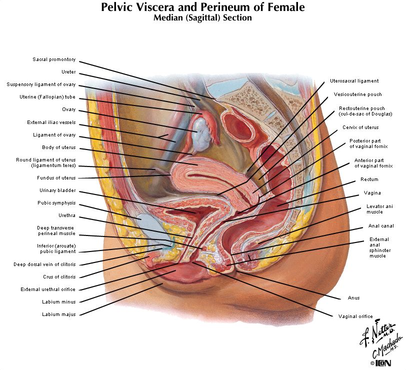 Matteo Marzotto Caotorta-3