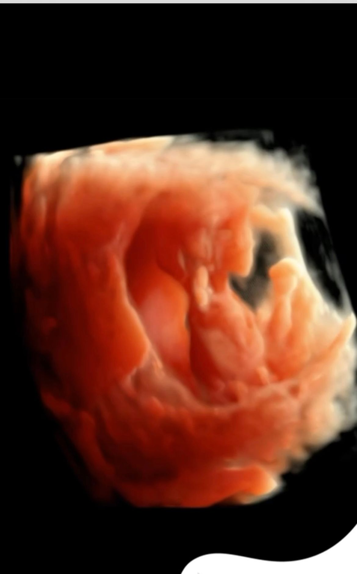 Wioletta Rozmus-Warcholińska-61