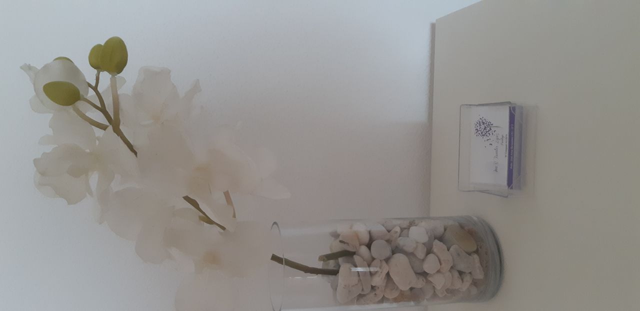 Ana Belén Fuentes López-1