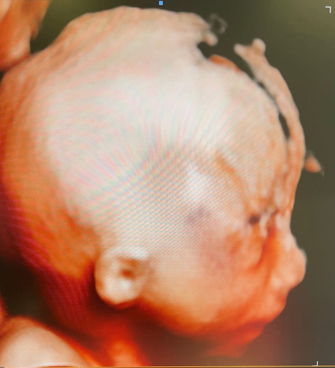 Andrzej Kałamacki-39