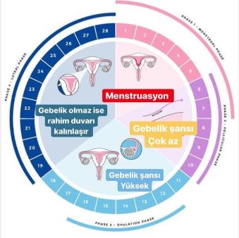 Hakan İbrahim Boyar-3