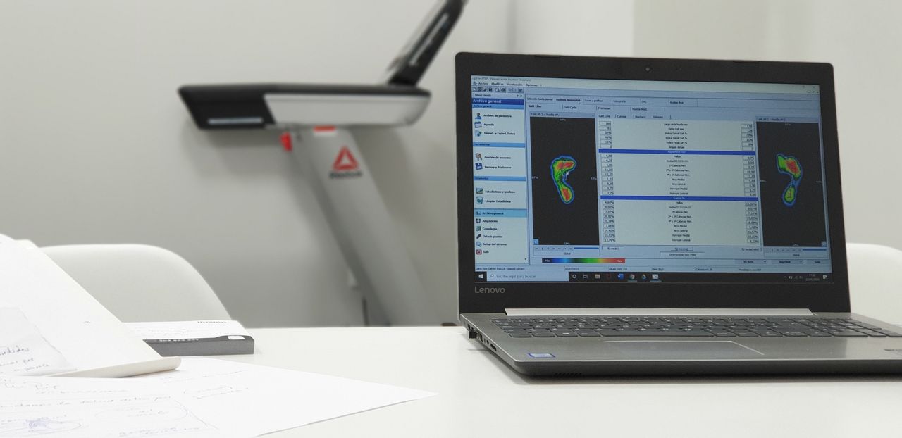 David Palomar Albert-3