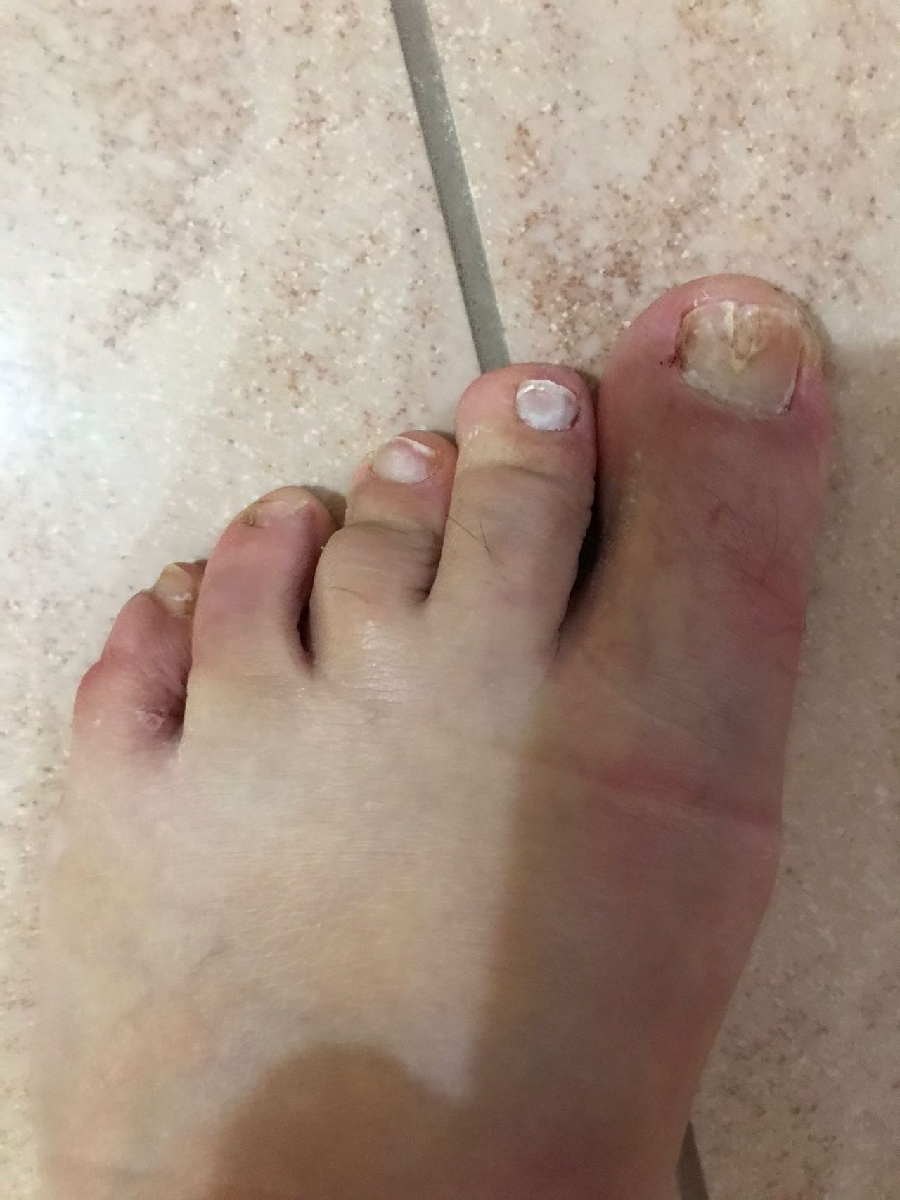 Kassandra Nicolosi-181