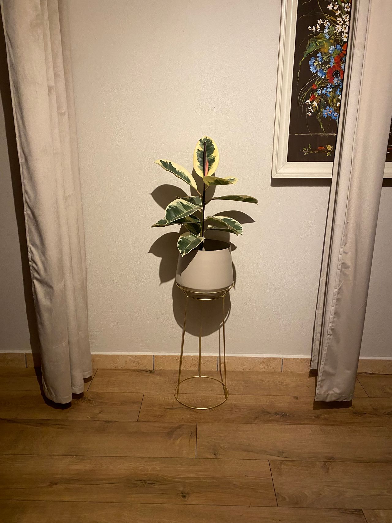 Agnieszka  Pławska -2