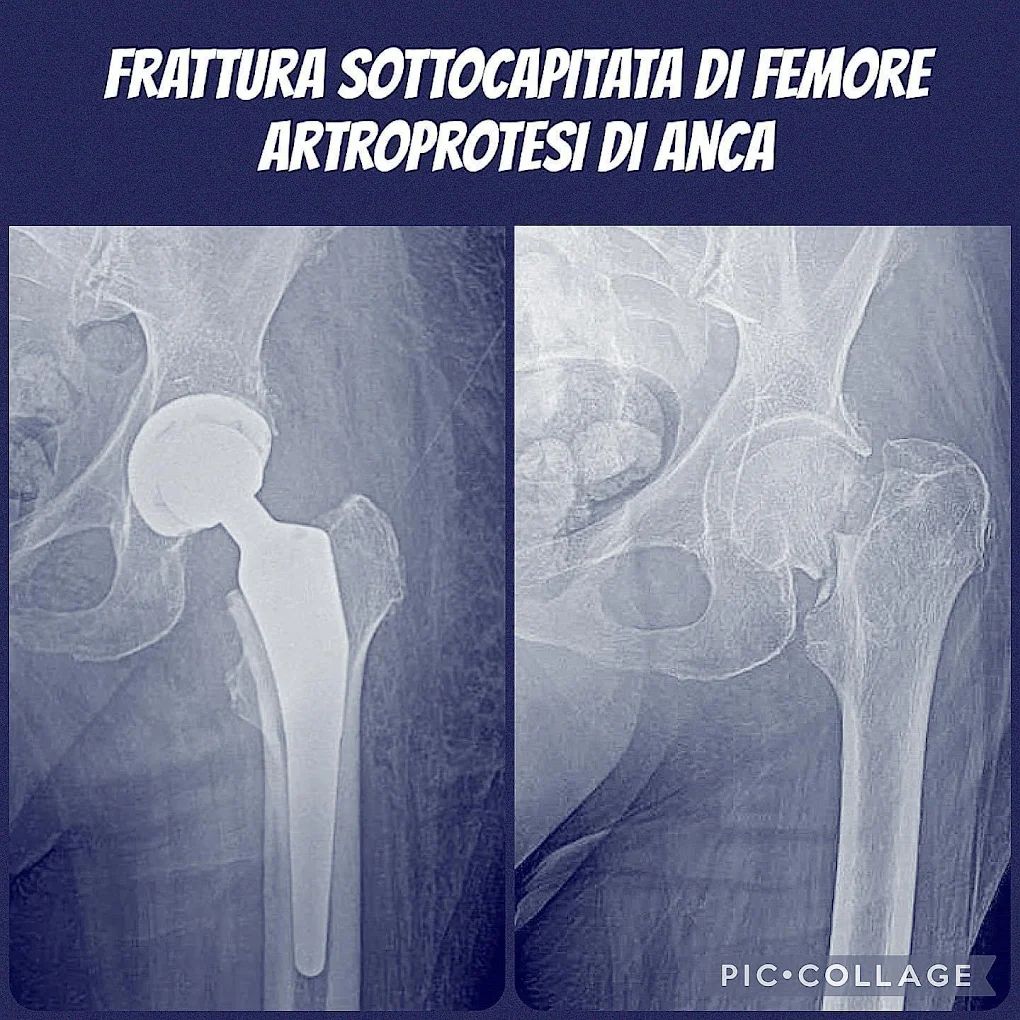 Daniele Passaretti-8