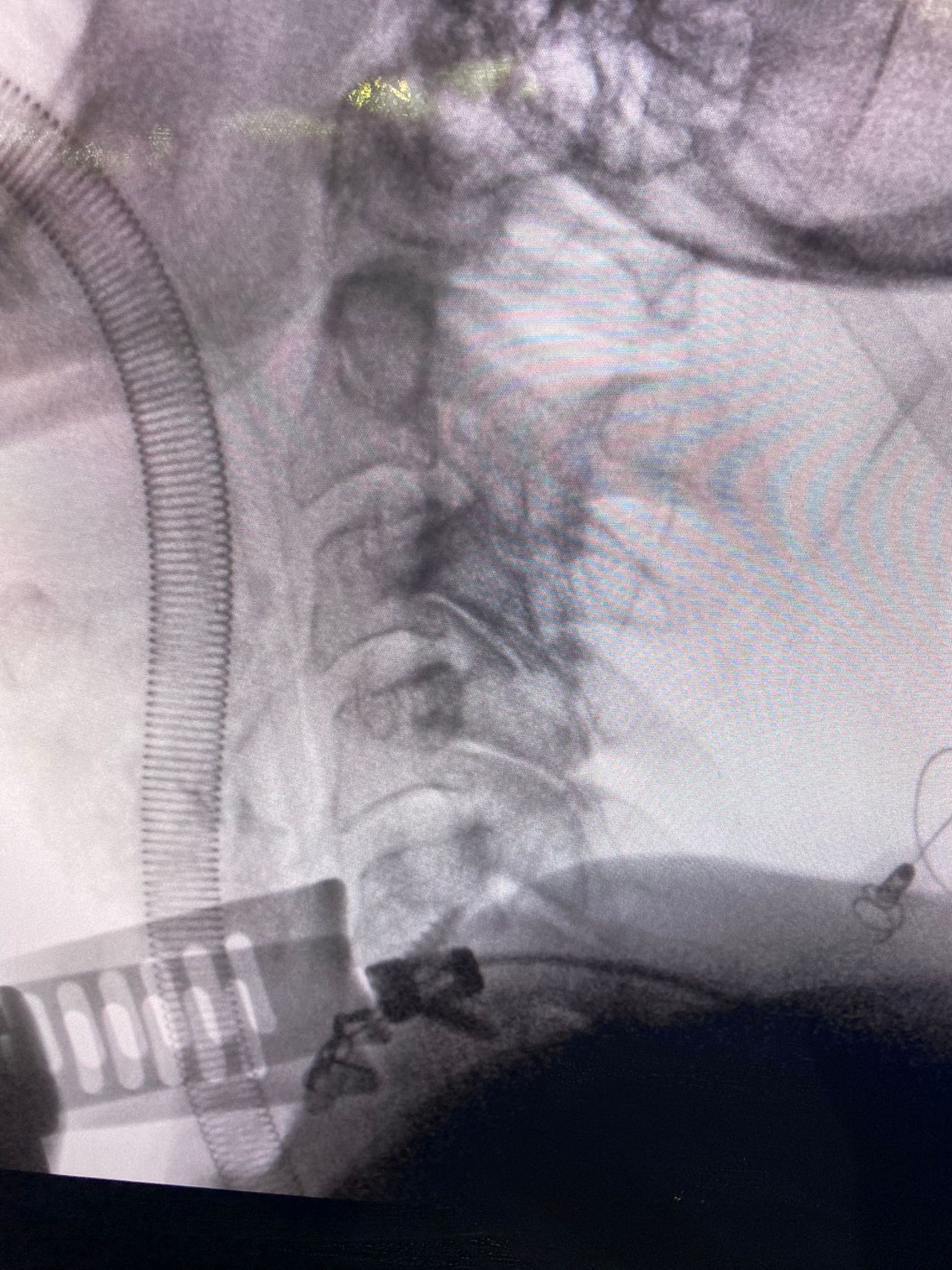 Alessandro Rapisarda-11