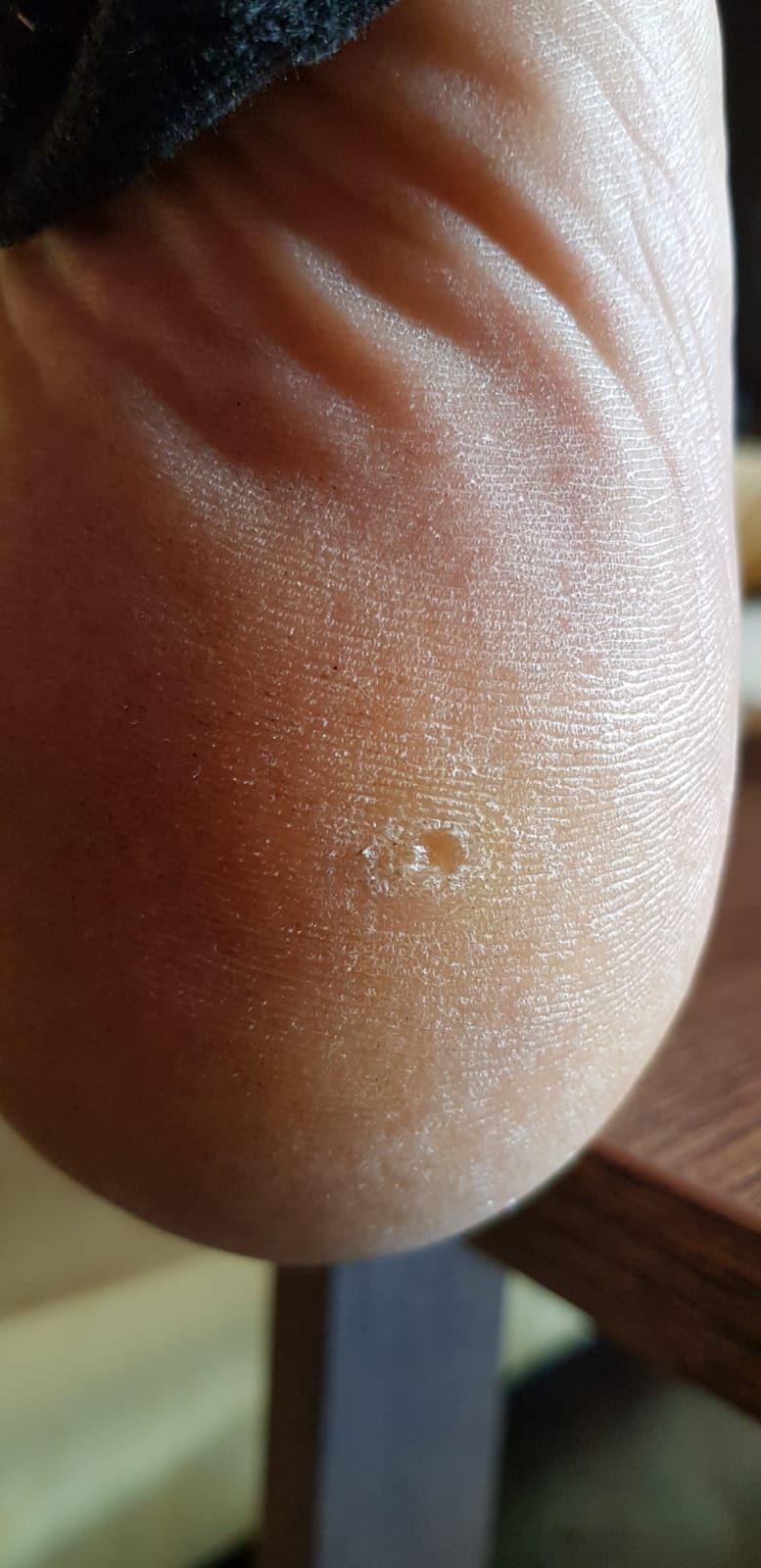 Kassandra Nicolosi-179