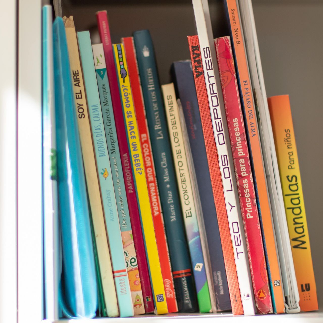 Raquel Gómez Pinto-6