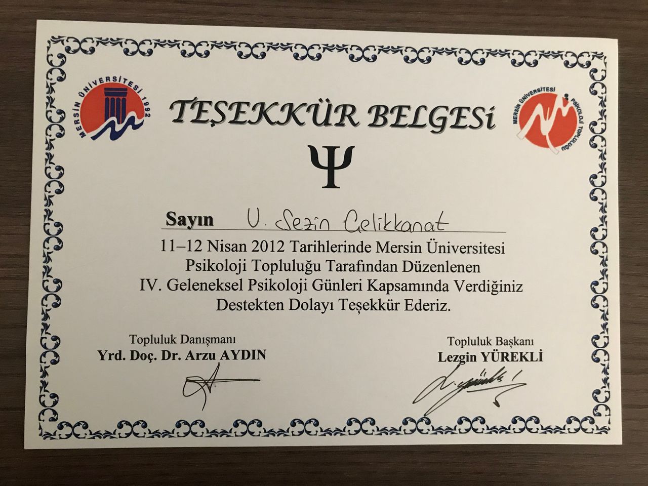 U. Sezin Çelikkanat Mısırlı-18