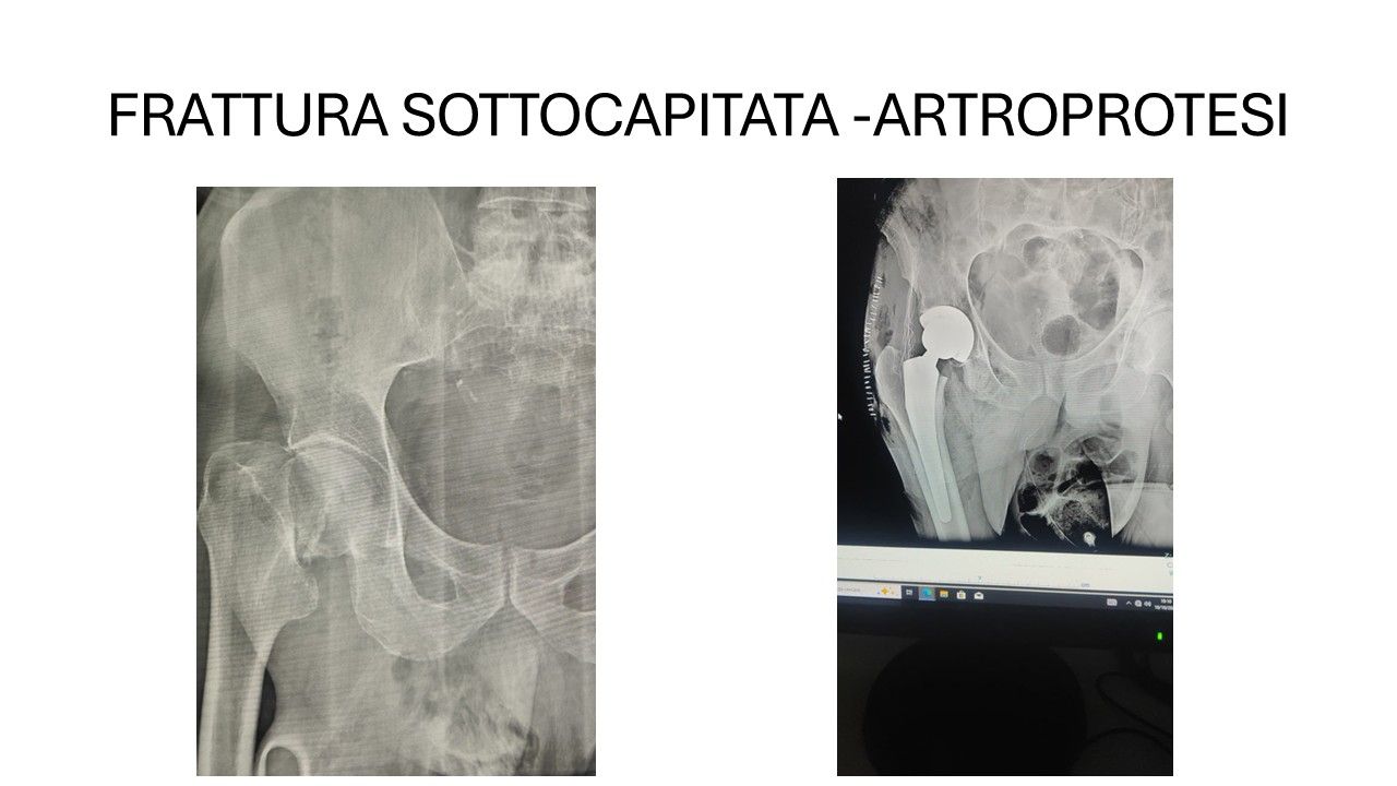 Bartolomeo D'amora-8