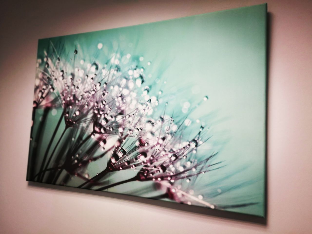 Maria Kumala-Petrykowska-0