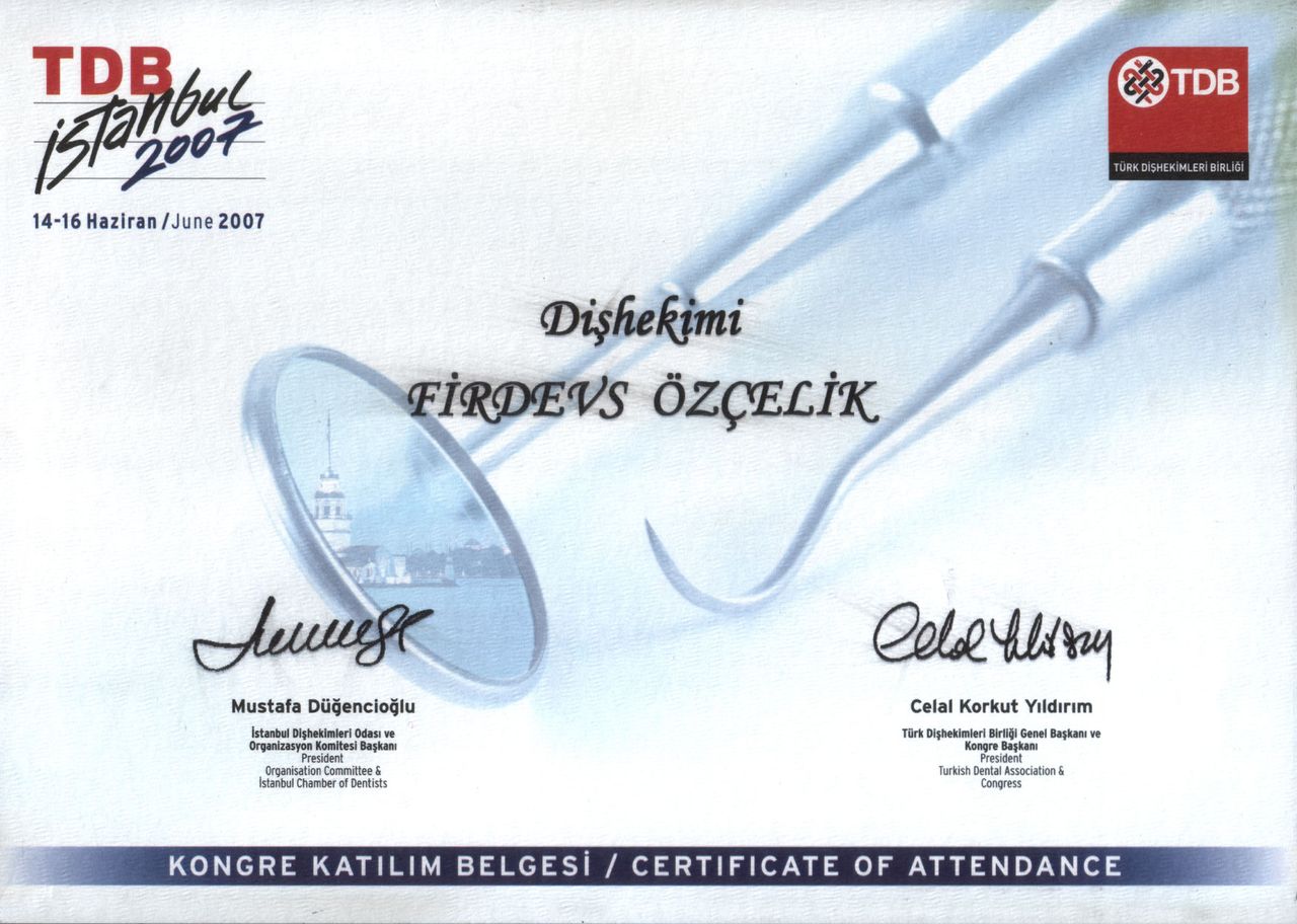 Firdevs Özçelik-18