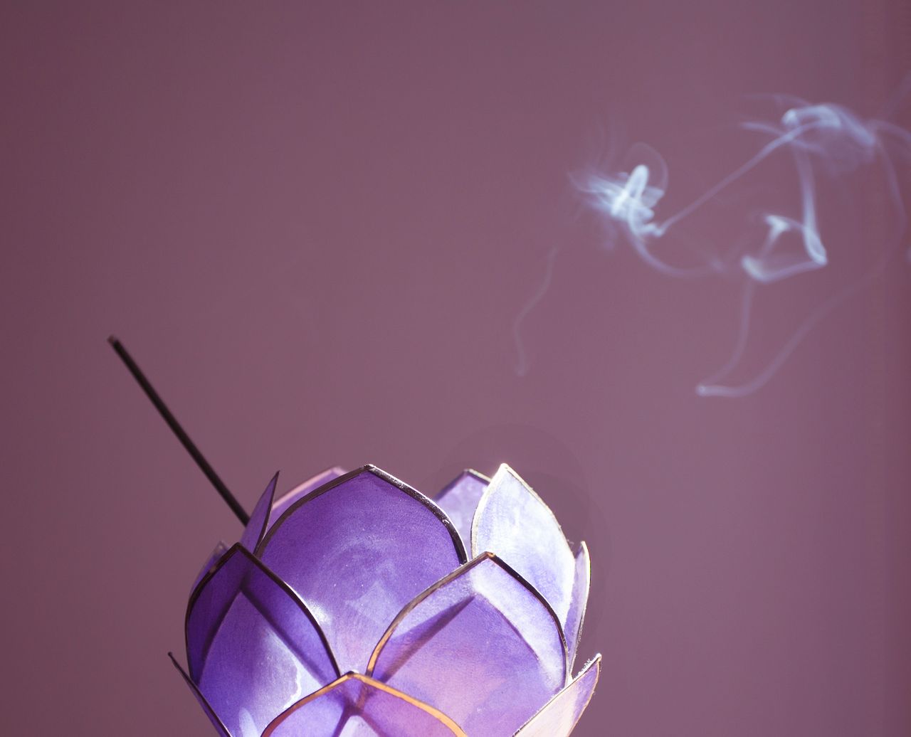 Sarah Gaset Reñé-1