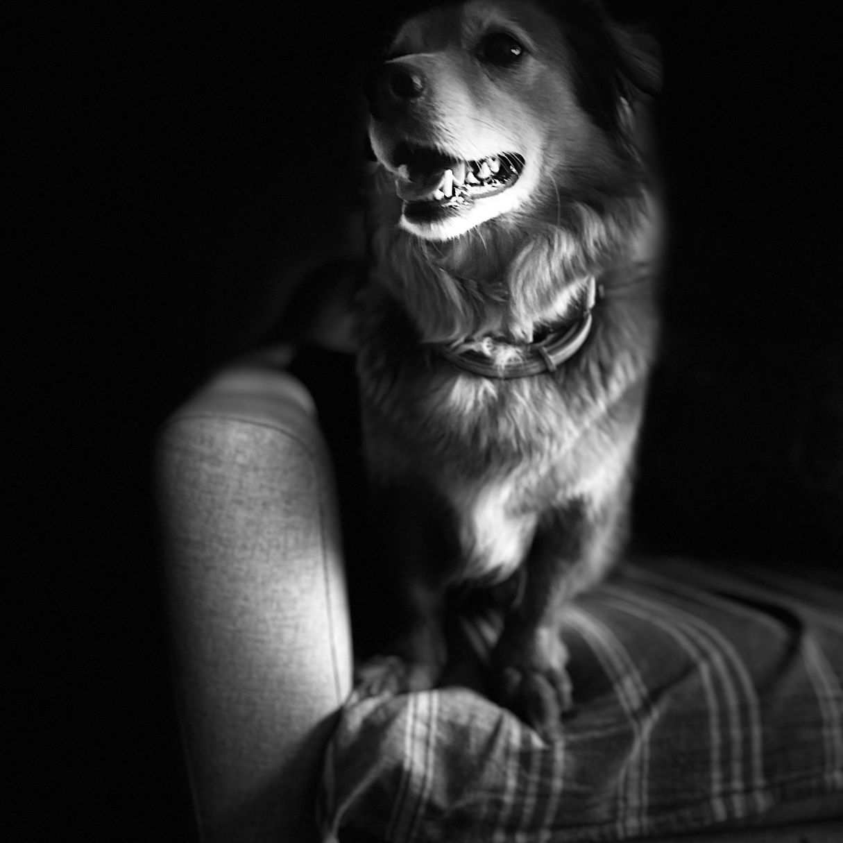 Patricia Gutiérrez Isla-6