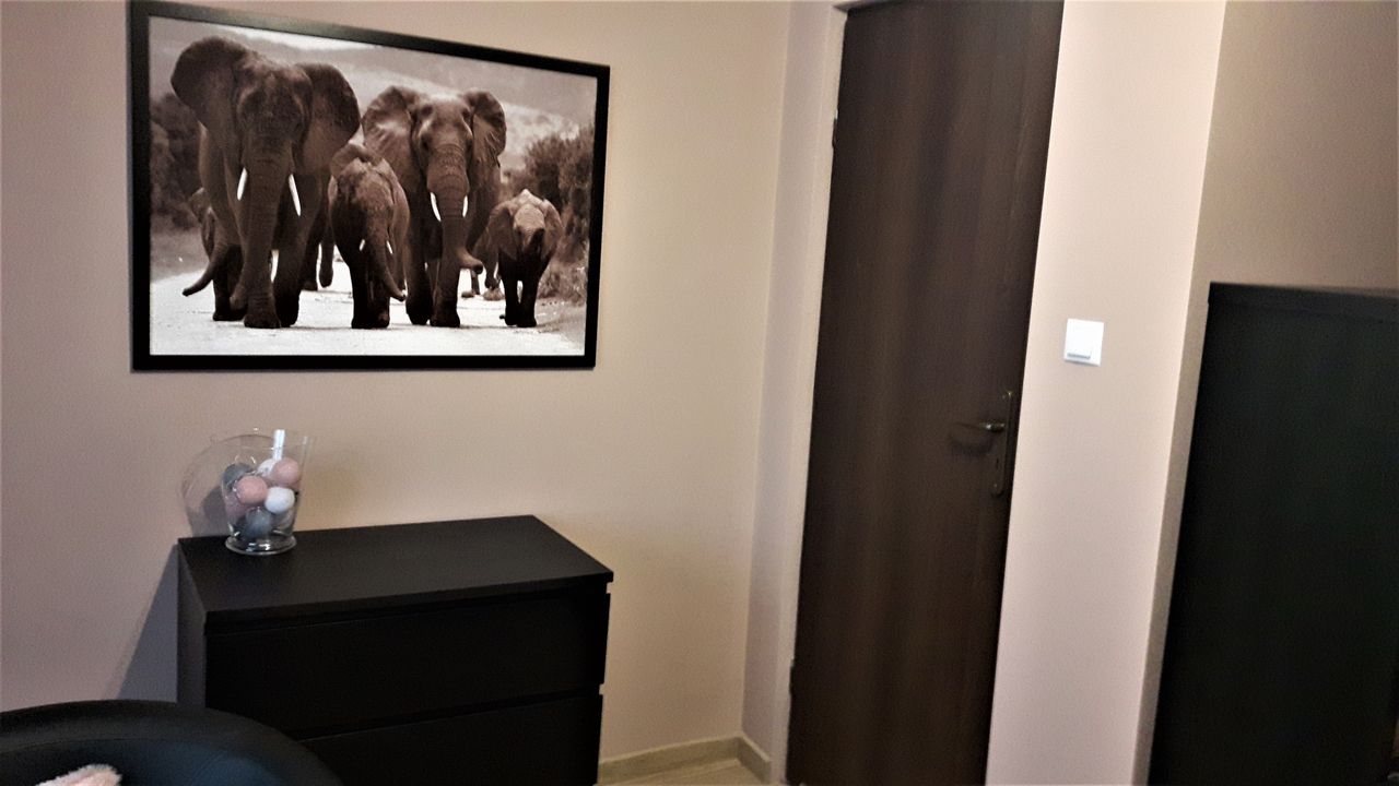 Agnieszka Cichowska-1