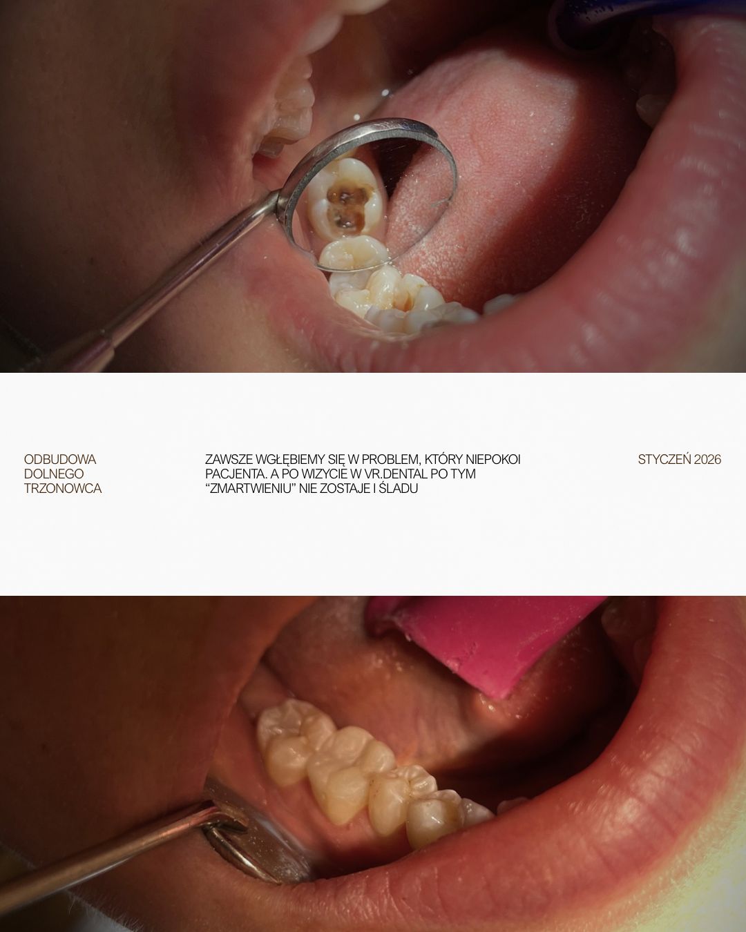 Viktor Rohozhynskiy-4