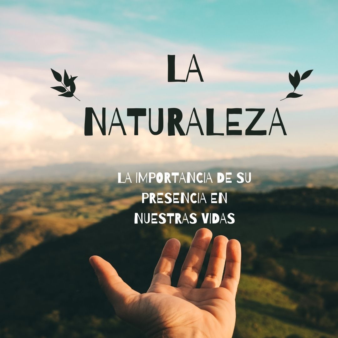 Arturo Hernández Cerezo-19