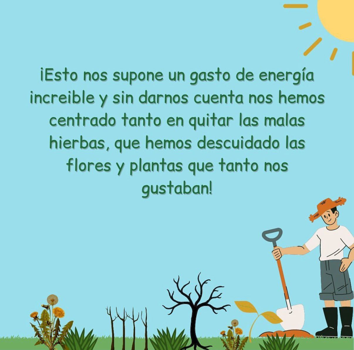 Diego Román Roldán-3