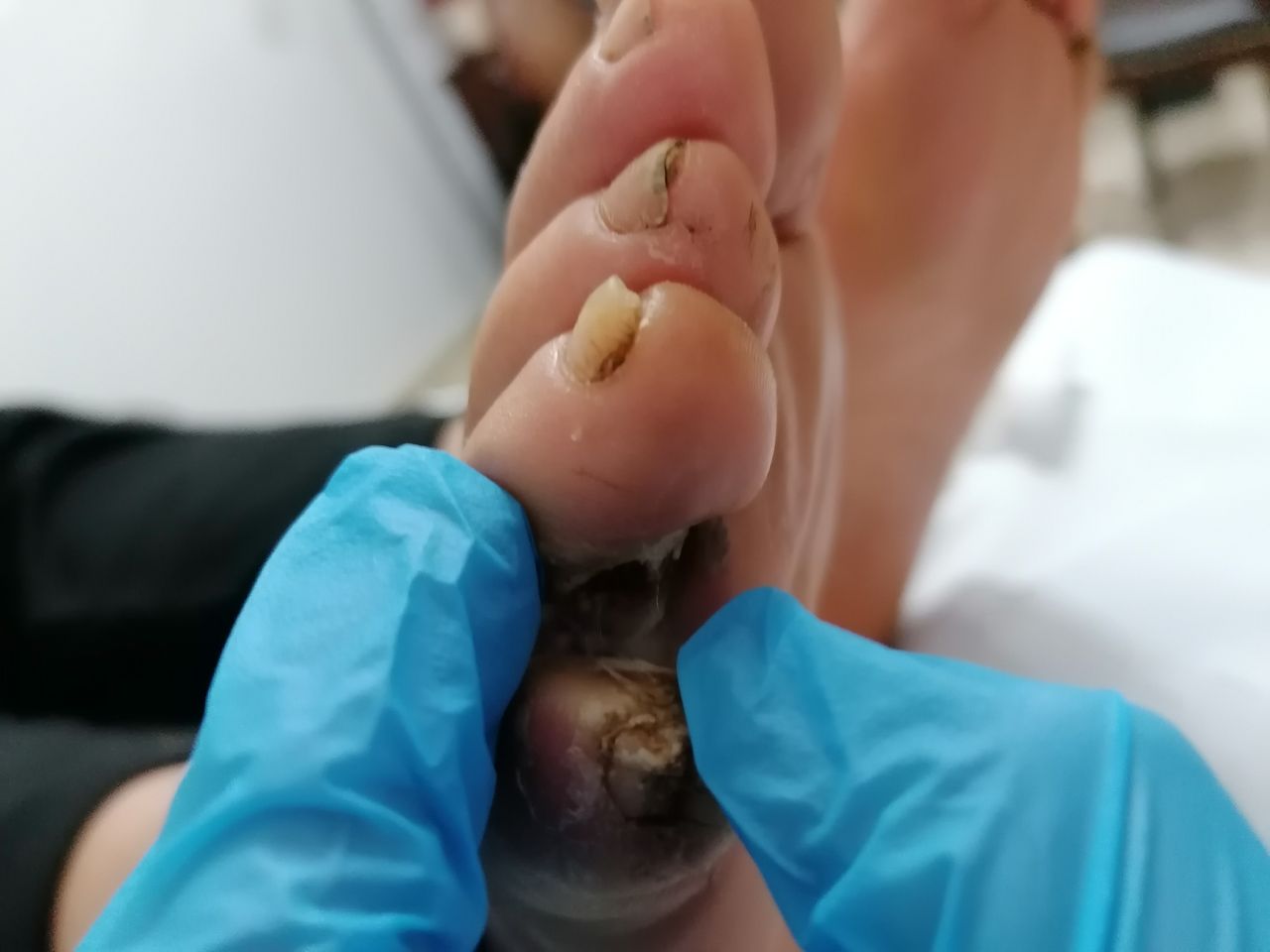 Kassandra Nicolosi-295