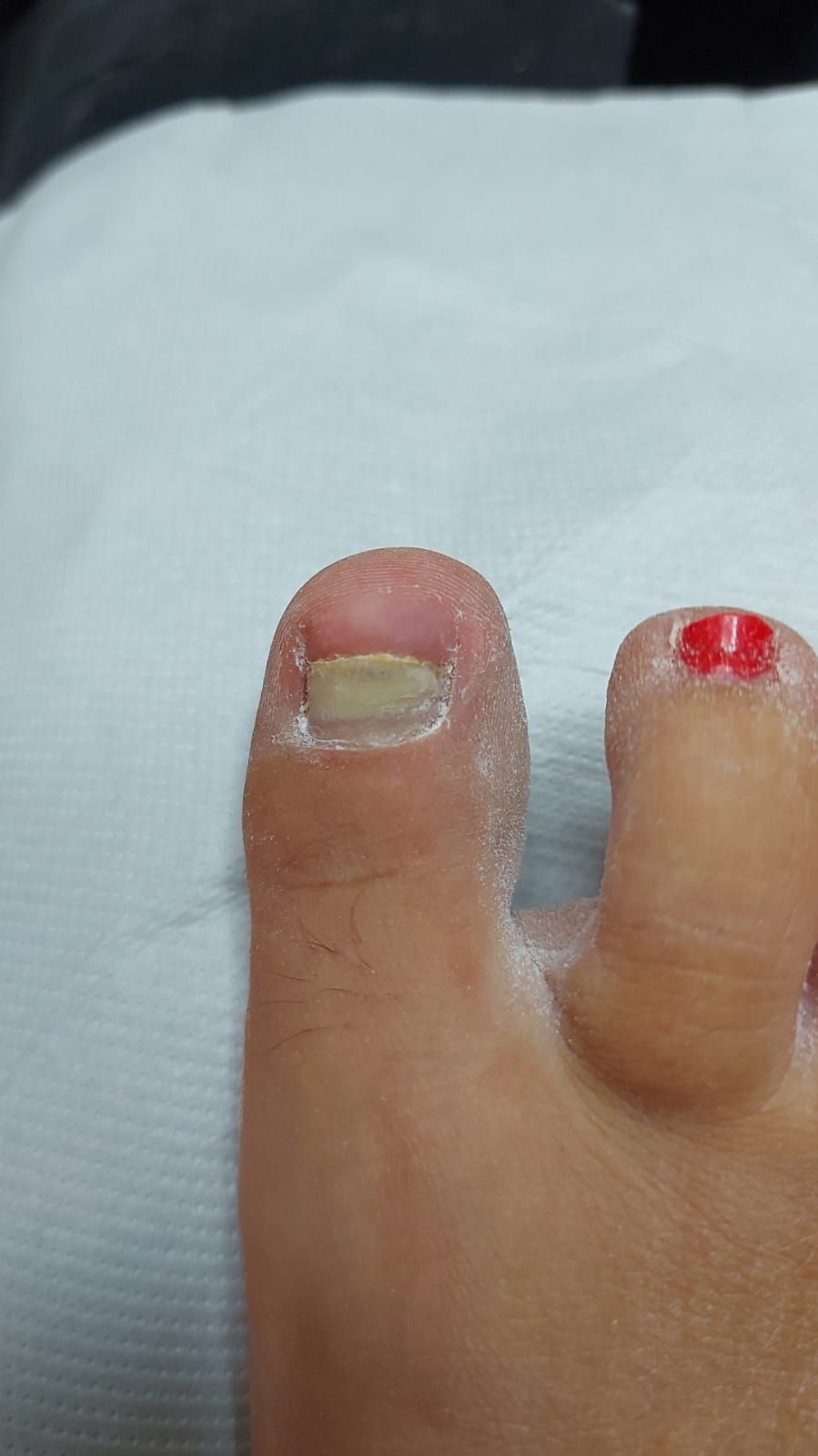 Kassandra Nicolosi-224