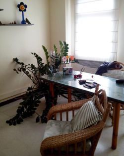 Ana María Ruiz García-0