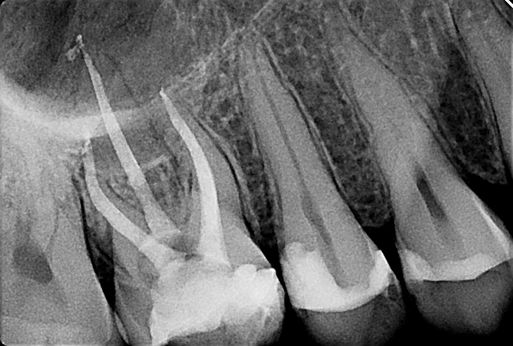 Dominika Witkowska-Pszczoła-15