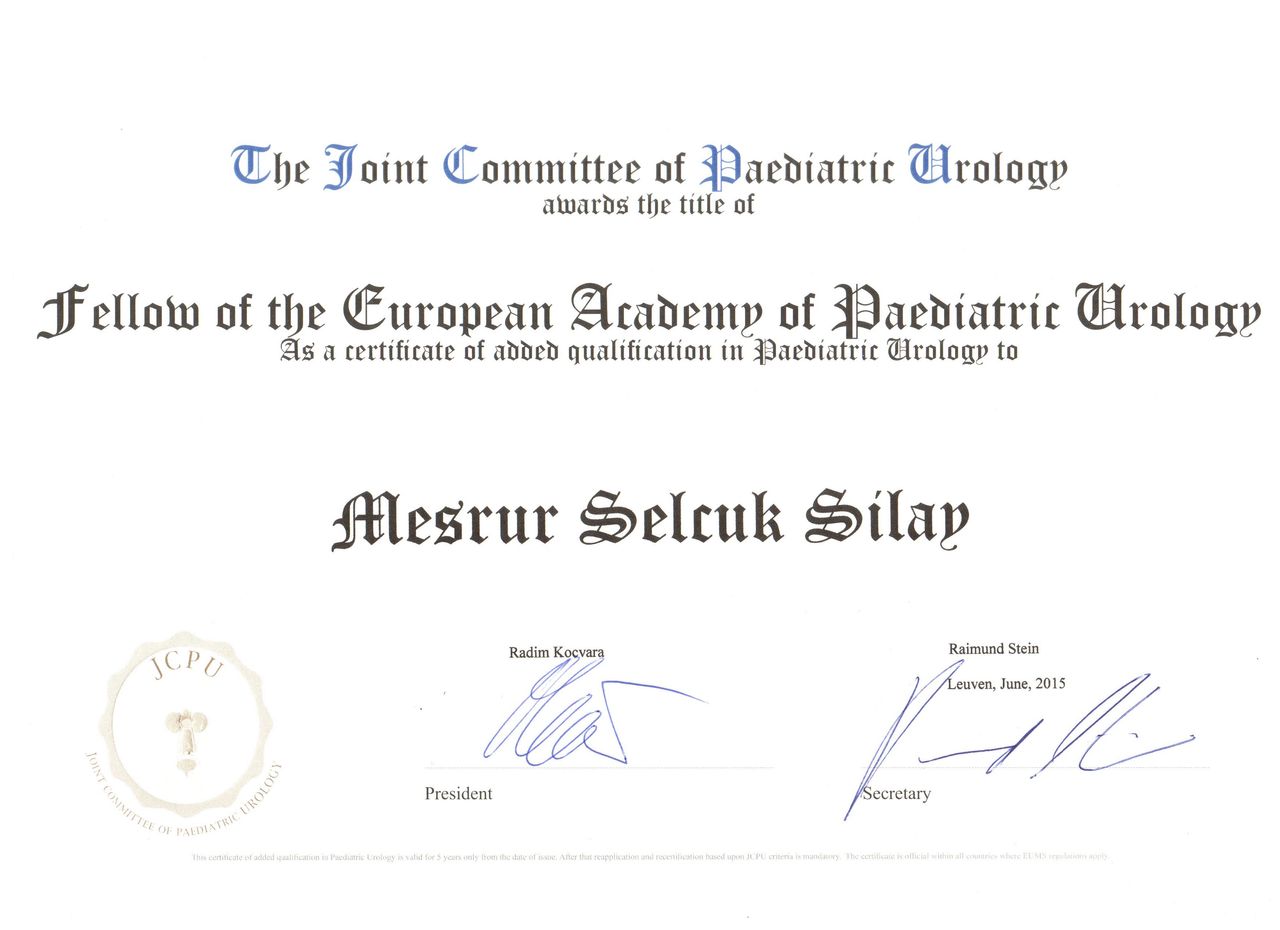 Mesrur Selçuk Sılay-10