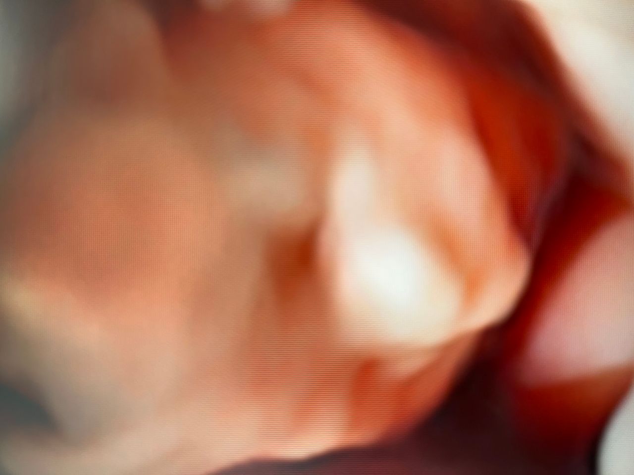 Jose Santiago-Cuadri Artacho-4