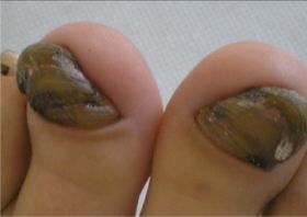 Kassandra Nicolosi-31