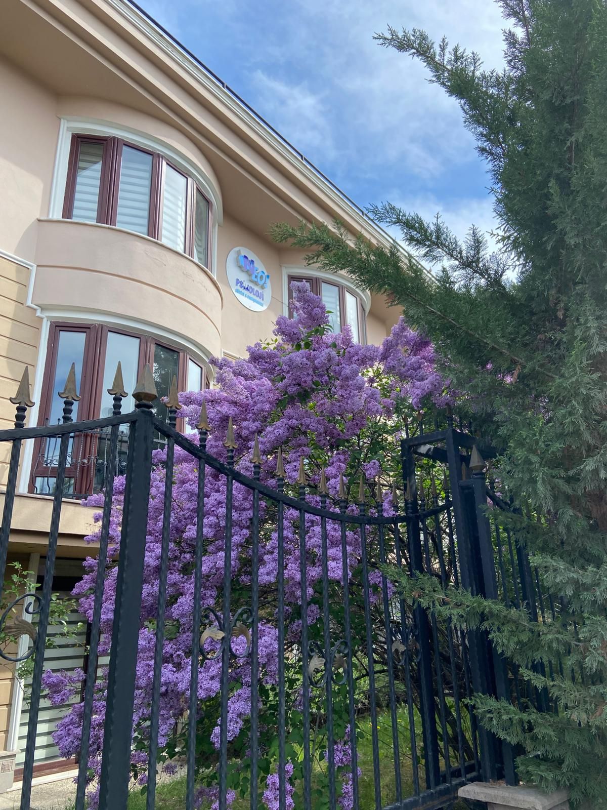 Yeliz Gökçe Akdoğan-4