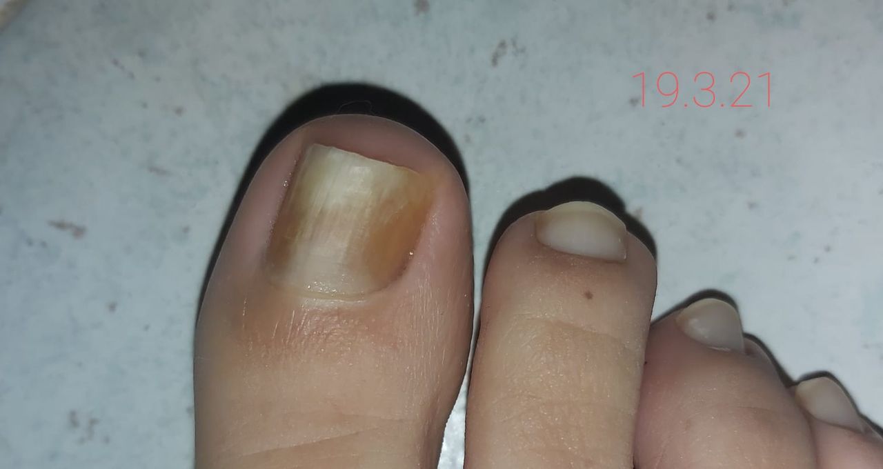 Kassandra Nicolosi-111