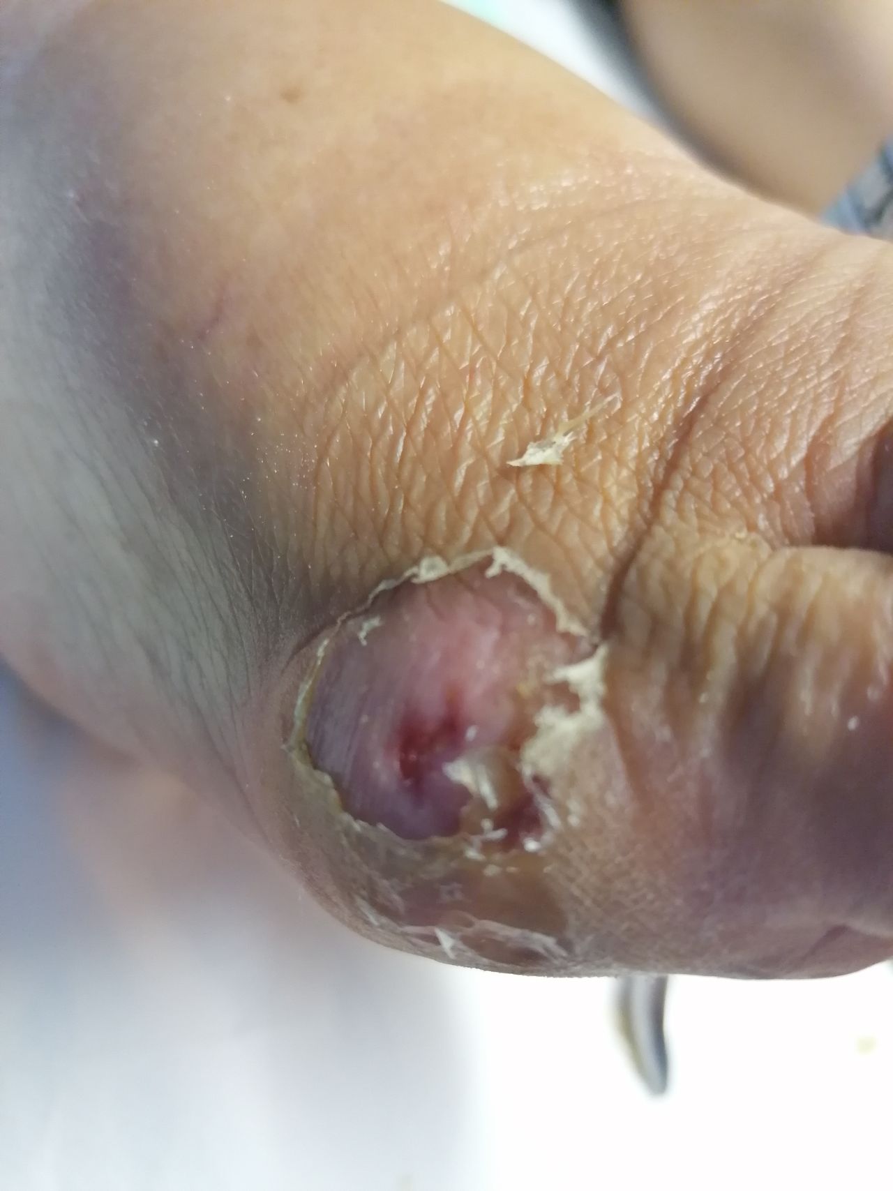 Kassandra Nicolosi-65