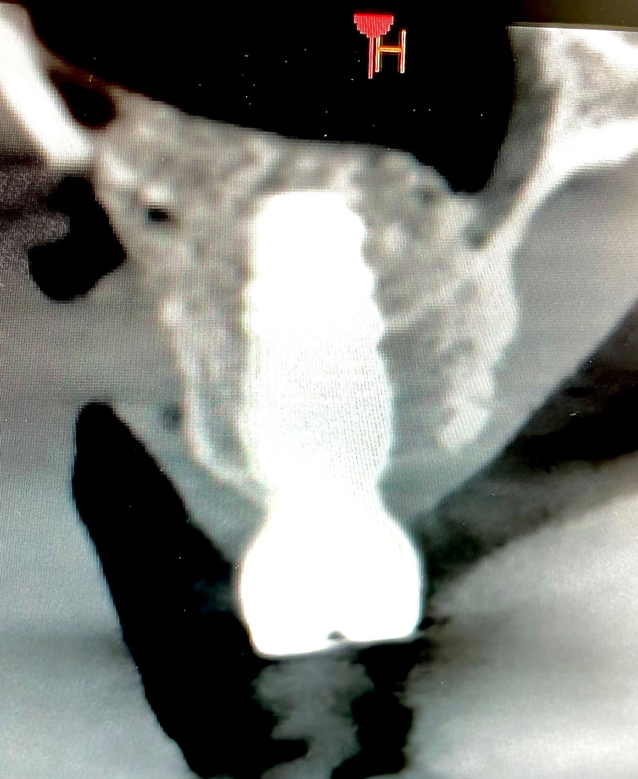 Cezary Pogorzelski-30