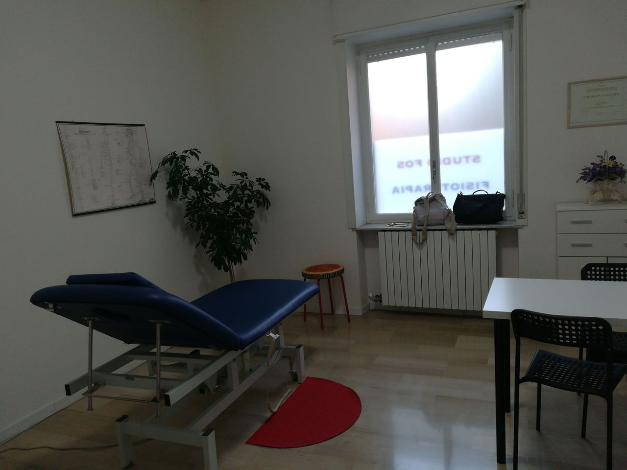 Maria Cristina Taddei-0