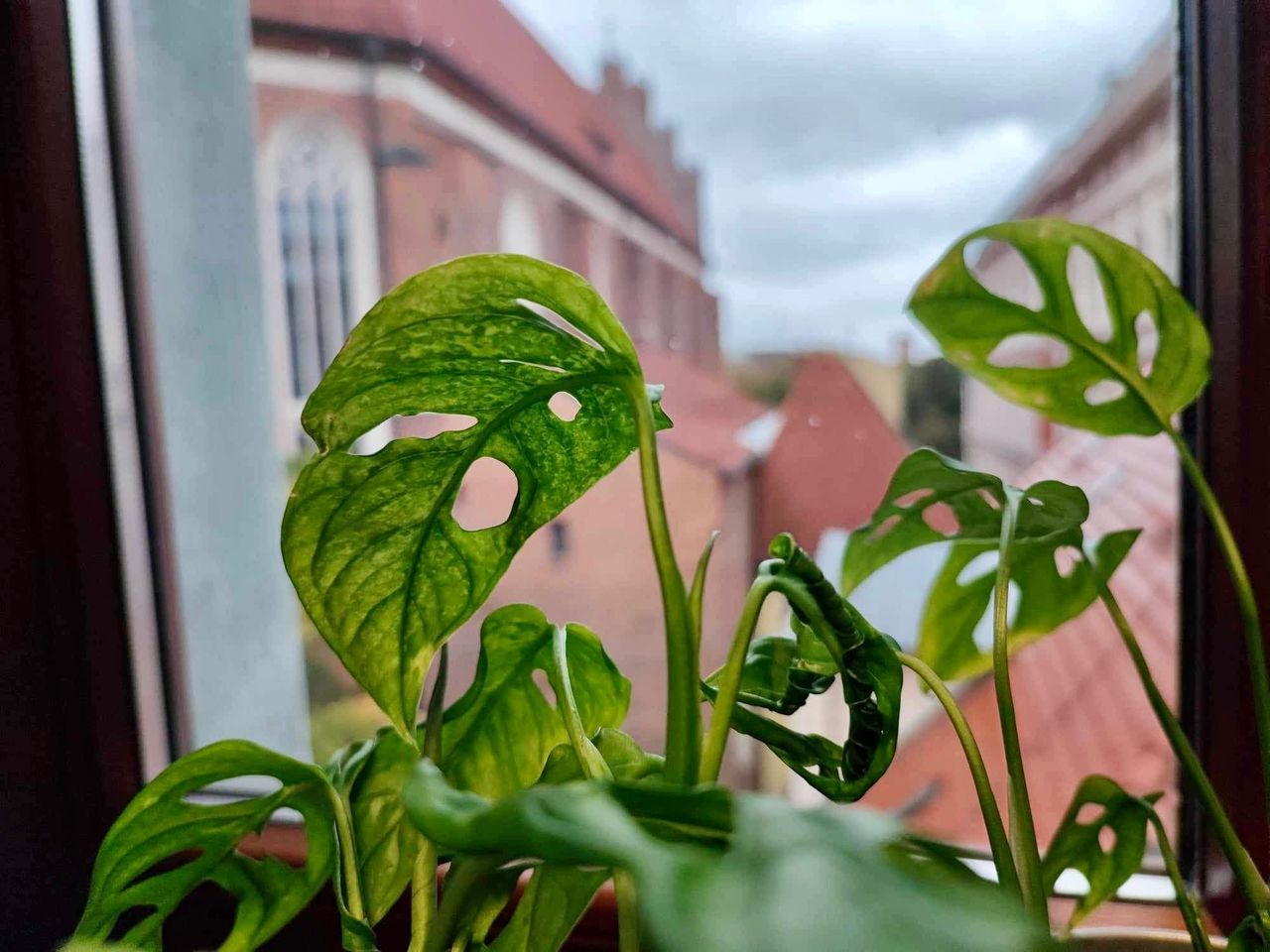 Marta Kalinowska-Kich-2