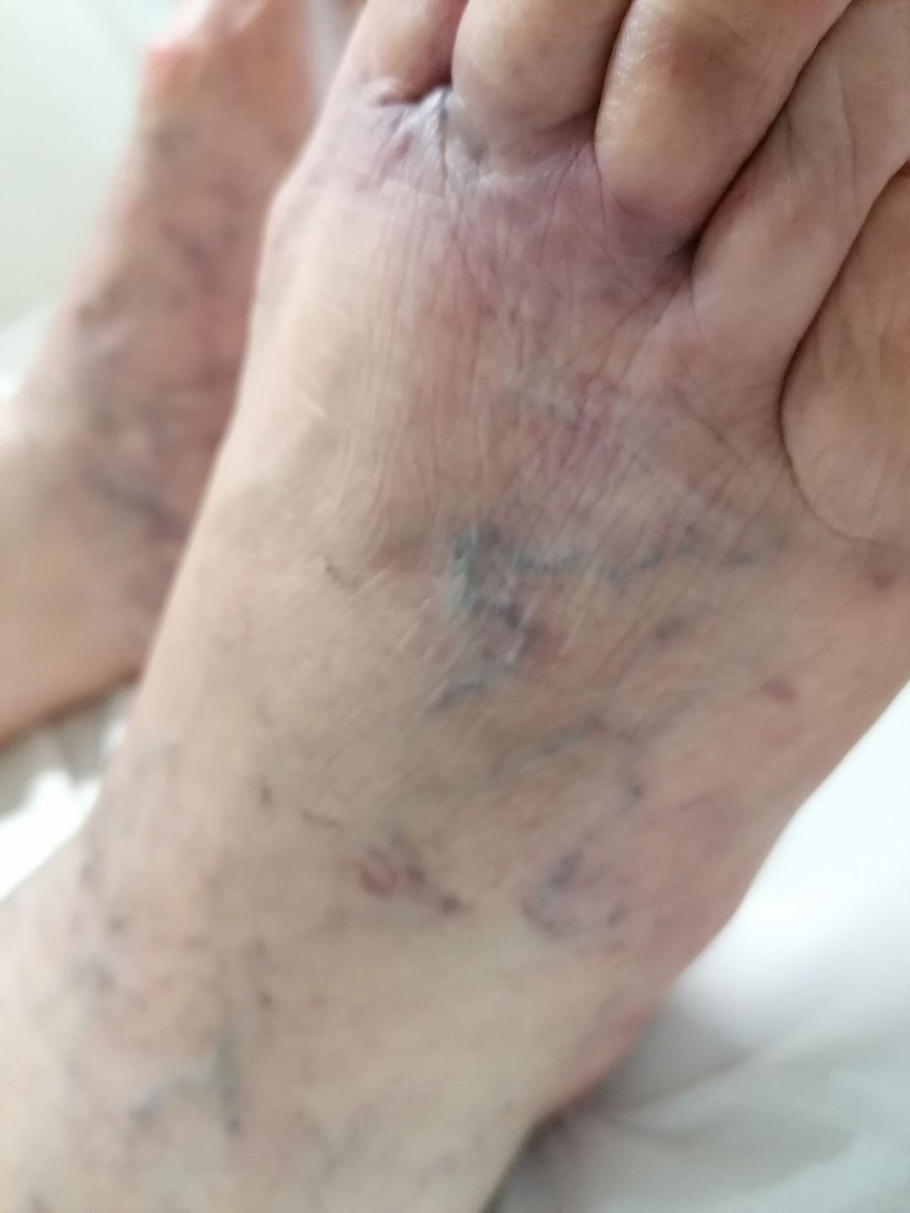 Kassandra Nicolosi-71