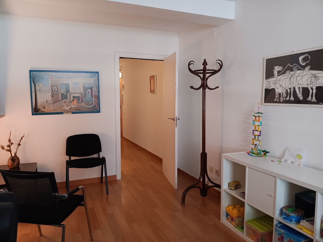 Silvia Gabriela Llopis Alfonso-0