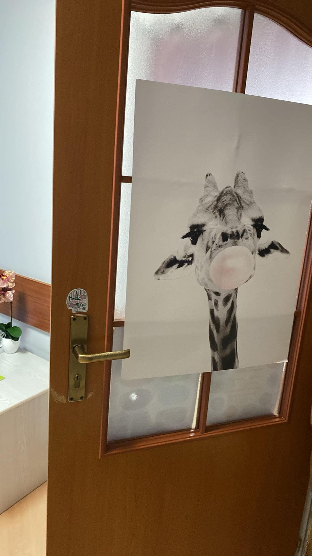 Iga Mieloch-Gajewska-1