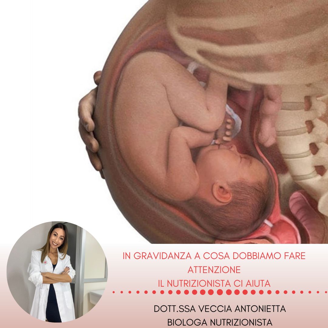 Antonietta Veccia-19