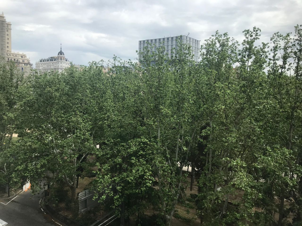 María Matute Lobo-4