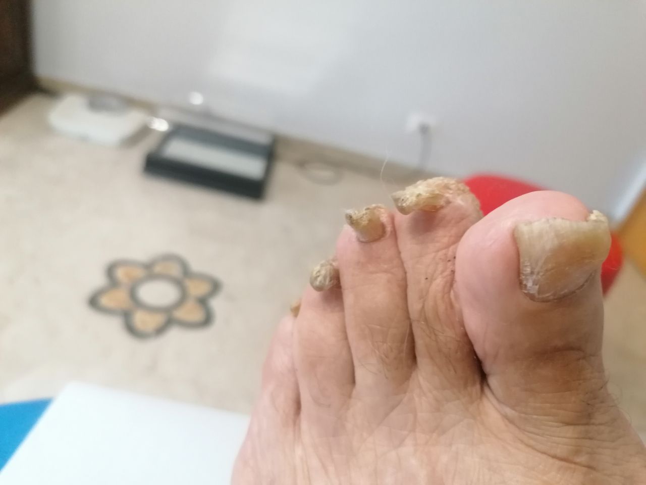 Kassandra Nicolosi-270