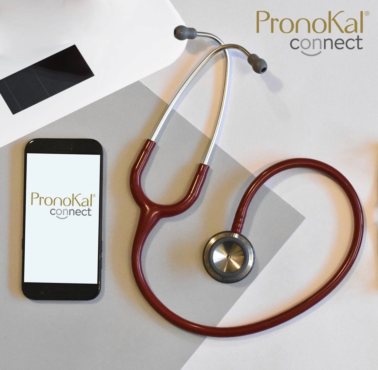 Teresa Merino Gavin-8