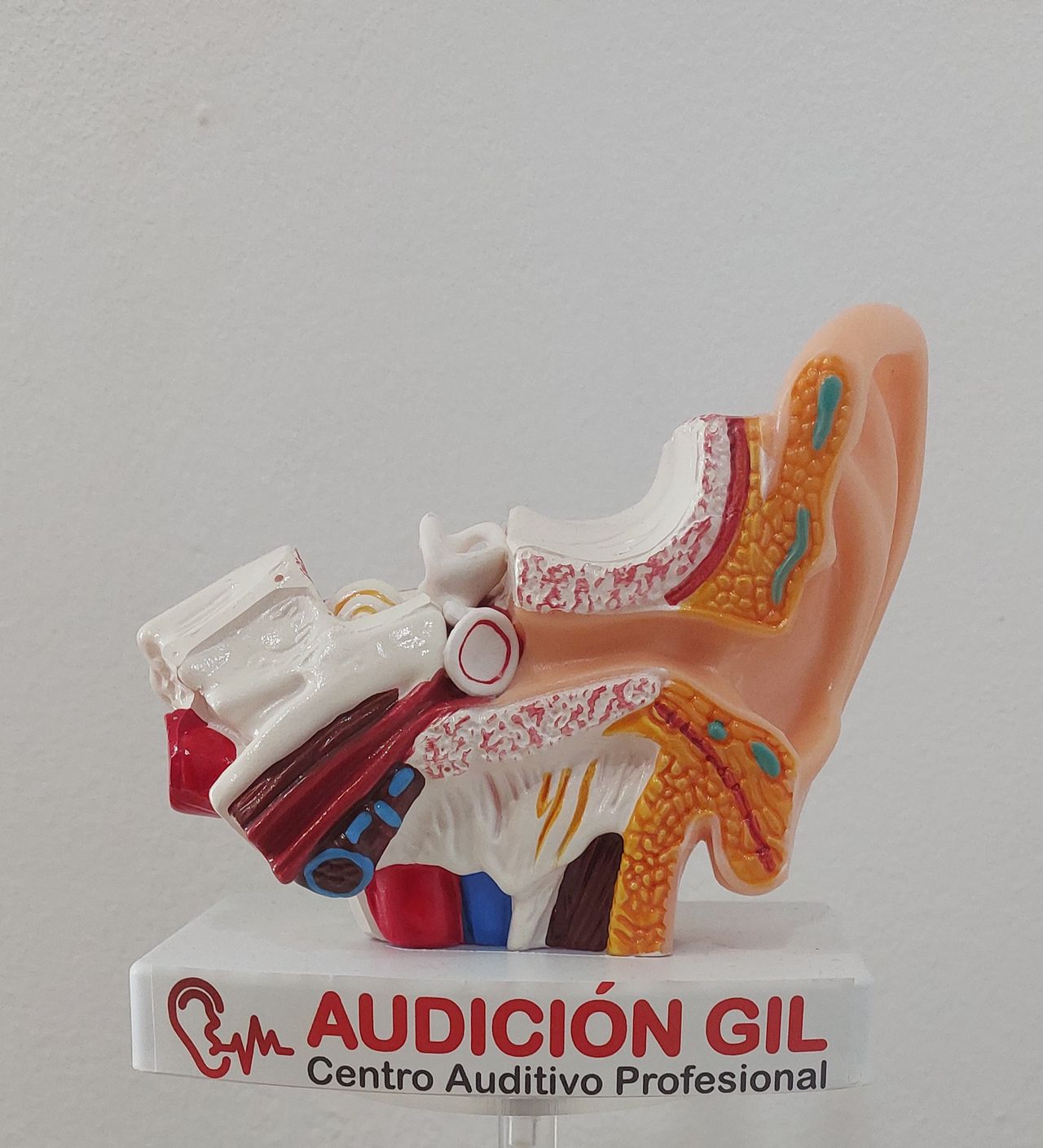 Manuel Rodríguez Bordallo-4